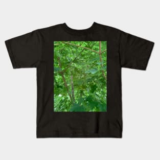 Inside The Maple Tree Kids T-Shirt